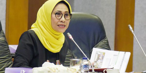 Wakil Ketua Komisi X DPR RI Hetifah Sjaifudian