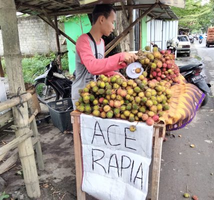 Zidan penjual