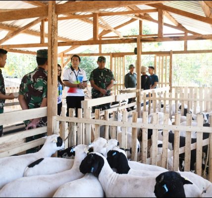 Danrem Domba Garut Boyolali