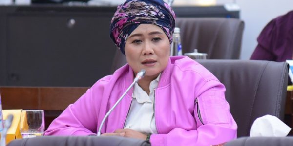 Luluk Nur Hamidah anggota DPR