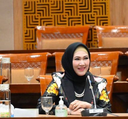 Lita Machfud Arifin DPR Nasdem