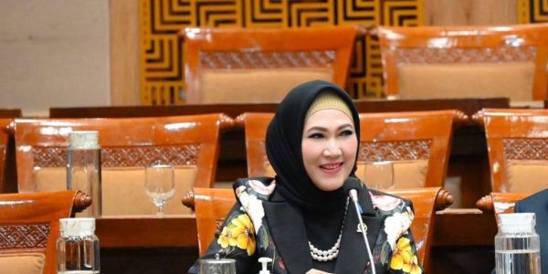 Lita Machfud Arifin DPR Nasdem